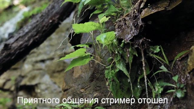 # СТРИМ / ОЦЕНКА КАНАЛОВ / ОЦЕНКА ВАШИХ КАНАЛОВ / ПИАР КАНАЛОВ / ПИАР ВАШИХ КАНАЛОВ / ИГРЫ смотреть онлайн