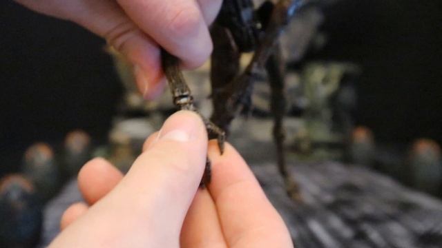 Neca Ultimate Alien 3 Dog Alien Action Figure Review & Comparison смотреть онлайн