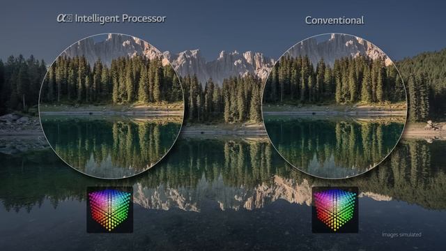 LG 4K DEMO HDR 2018 (60FPS) OLED ALPHA 9 PROCESSOR