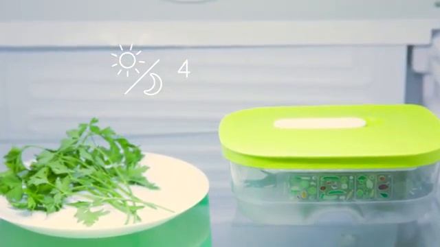 Розумний холодильник (800 мл) Tupperware смотреть онлайн