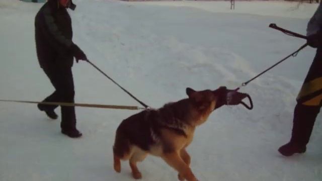 н.о. Немезида,5 мес. смотреть онлайн