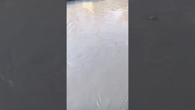 На нашей улице Копьёва в городе Куйбышеве Новосибирской смотреть онлайн