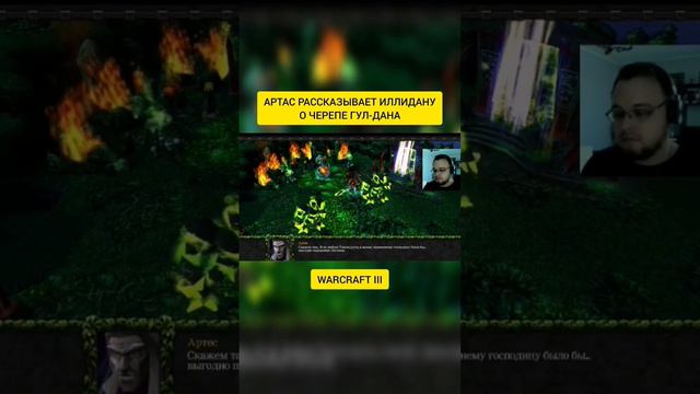 АРТАС РАССКАЗЫВАЕТ ИЛЛИДАНУ О ЧЕРЕПЕ ГУЛ-ДАНА #sultan #warcraft #артас #иллидан #reels #варкрафт смотреть онлайн
