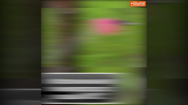 GS8212B смотреть онлайн