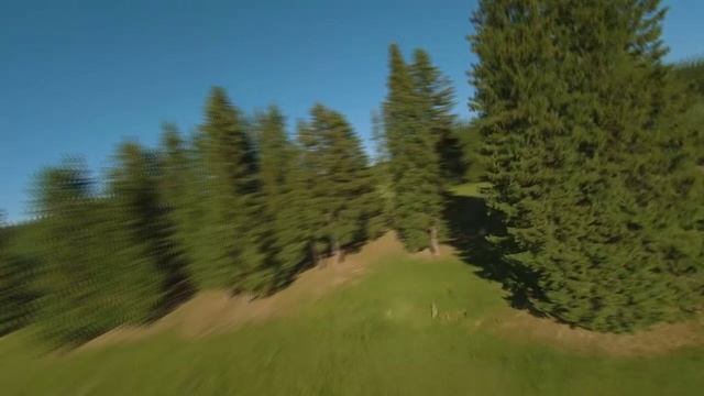 Fpv