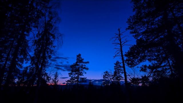 Timelapse D7100 смотреть онлайн