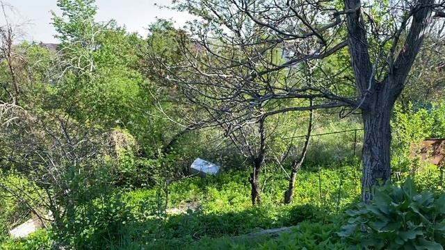 АСМР |Дача |С Днём Победы |Голос |Камера |Постукивания |ASMR |Summer cottage |Camera |Tapping смотреть онлайн