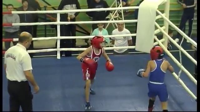 XVI Межрегиональный турнир по боксу памяти А.А. Дементьева. 27-29 ноября 2015 г. смотреть онлайн