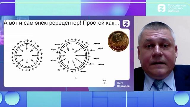 Электротехнологии жизни смотреть онлайн