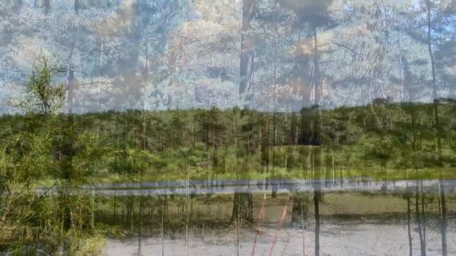 Весна пришла смотреть онлайн