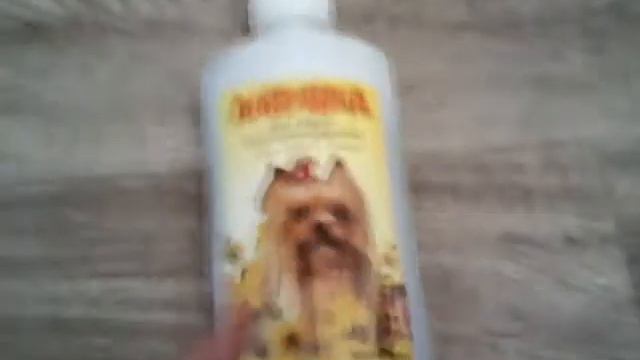 Мини покупки из зоомагазина смотреть онлайн