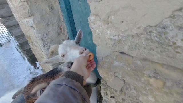 ЖИЗНЬ В СЕЛЕ, КАК ЕСТЬ... смотреть онлайн