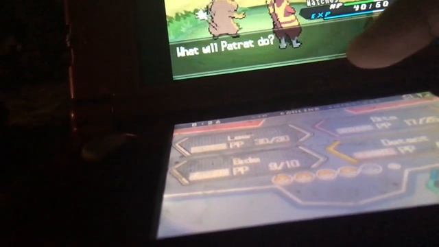 Shiny Purrloin Black 2 (Full Odds) First Gen 5 Shiny смотреть онлайн