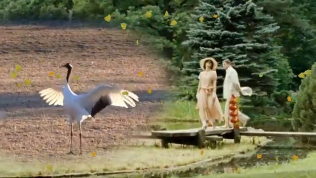 Грустит кленовая листва - Лариса Гордьера смотреть онлайн