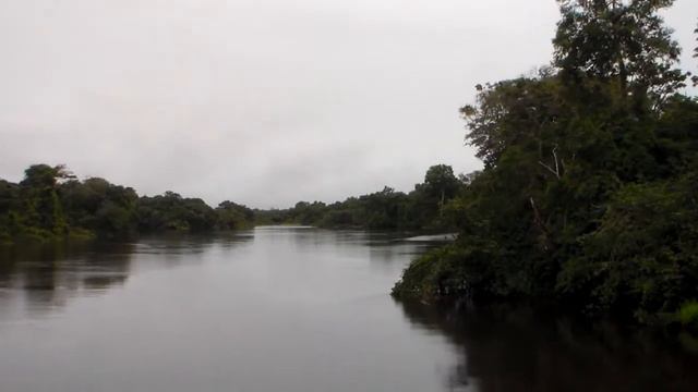 Na região do Parque Nacional do Jaú, rio Negro, estado do Amazonas, Brasil. смотреть онлайн