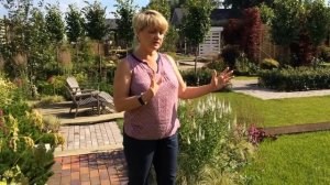 Ландшафтный дизайн участка с постройками и посадками, что делать?