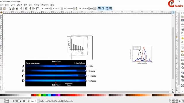 Create Collage of Graphs, Schematics, and Pictures | Drawing/Graphing-03 смотреть онлайн