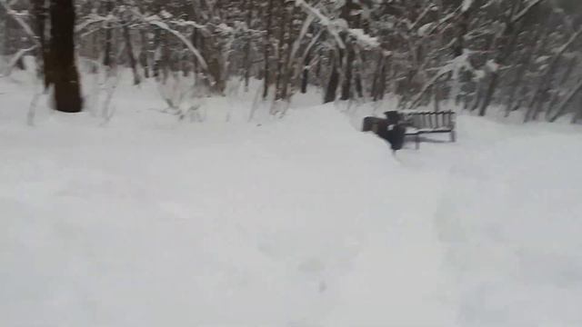 увеличение скамеек и мусорок на оопт смотреть онлайн