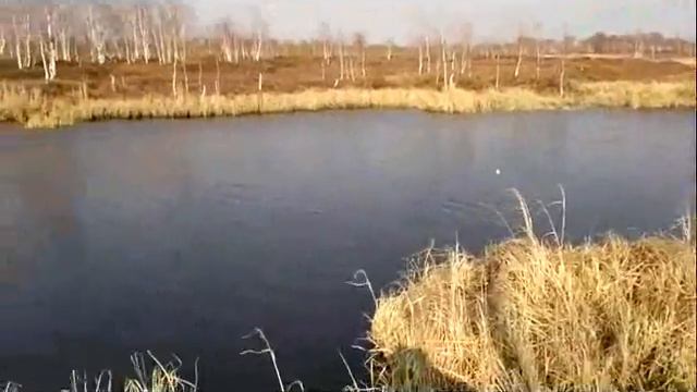 Рыболов Профи смотреть онлайн