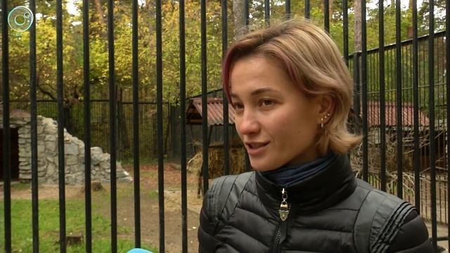 Борьба за выживание на примере одного зоопарка. Как сохранить биологическое разнообразие планеты? смотреть онлайн