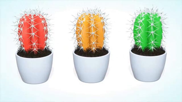 Learn Colors Cactus vs Foot #l Rainbow Cactus Round vs Feet Learning Colours Finger Family 1080p смотреть онлайн