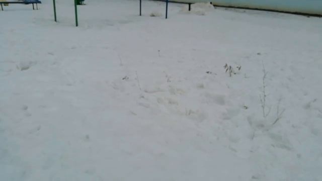 Этот самый короткий день смотреть онлайн