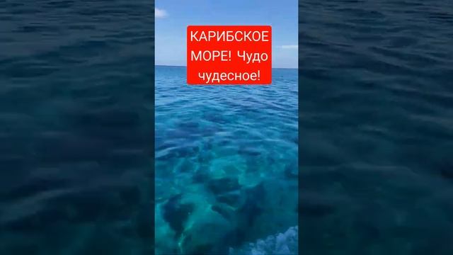 Карибское море. Вода-просто бомба! Самое тёплое море в мире! смотреть онлайн