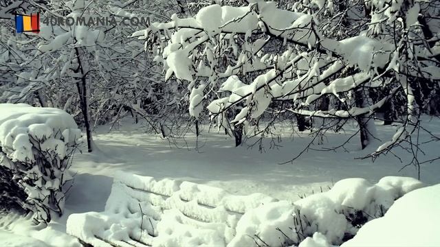 Peisaje De Iarna Romania - Pe Un Drum Departe - Muzica De Iarna