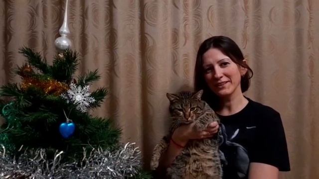 2023 Поздравление фан-клуба с Новым годом смотреть онлайн