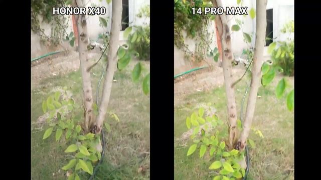 Honor X40 vs iPhone 14 Pro Max Camera Test смотреть онлайн
