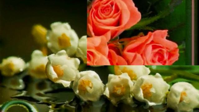 лена!c 8 марта любимая! смотреть онлайн