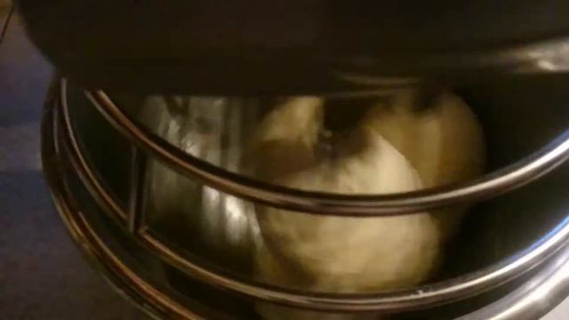 MOV 0451 смотреть онлайн