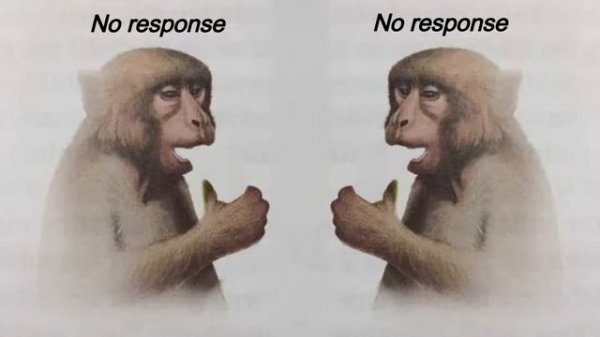 monkey sees no action, neuron deactivation