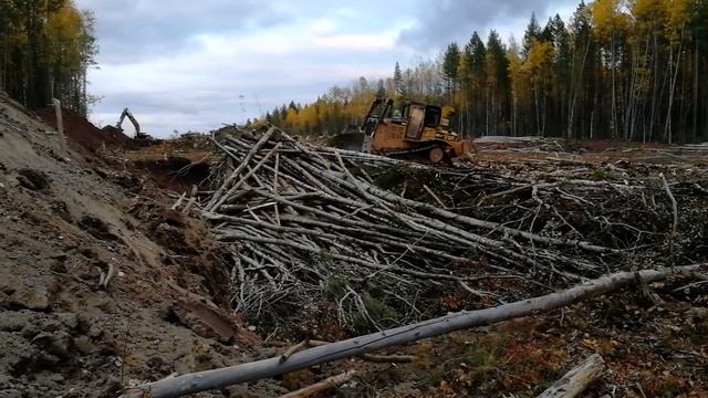 Утилизация лесо-порубочных остатков - бульдозер CAT6 ,Янталь смотреть онлайн