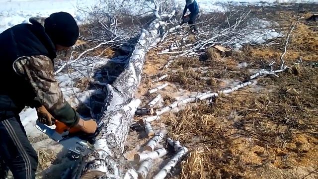 Сравнение штиль 461 и штиль 361. смотреть онлайн