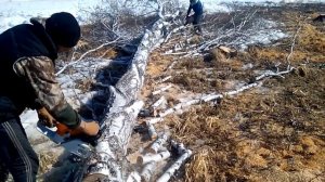 Сравнение штиль 461 и штиль 361.