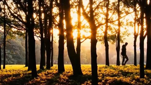 Пьяные, Счастливые смотреть онлайн