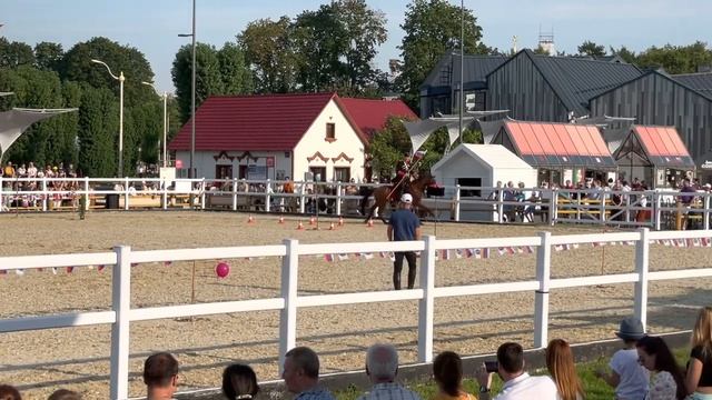 Кремлевская школа верховой езды, Центр национальных конных традиций на ВДНХ / Kremlin Riding School смотреть онлайн