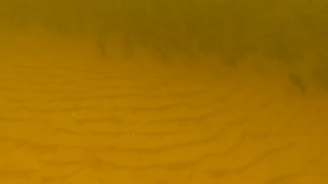 Подводная охота с Лубягиным Максимом на рождество. смотреть онлайн
