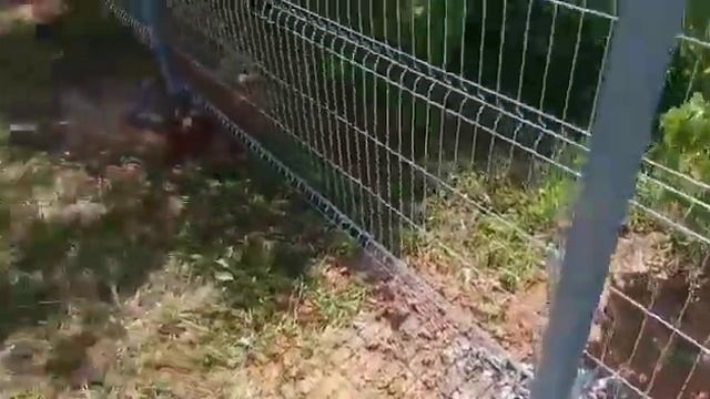 Забор из 3Д сетки