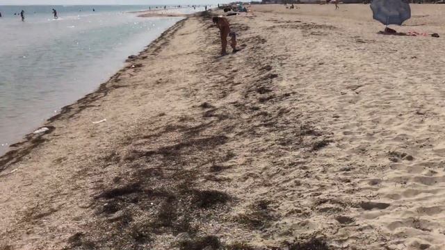 Азовское море в пгт. Кирилловка, Федотова коса 31.08.2018 смотреть онлайн