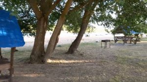 Пляж на берегу Дону в станице Раздорская
