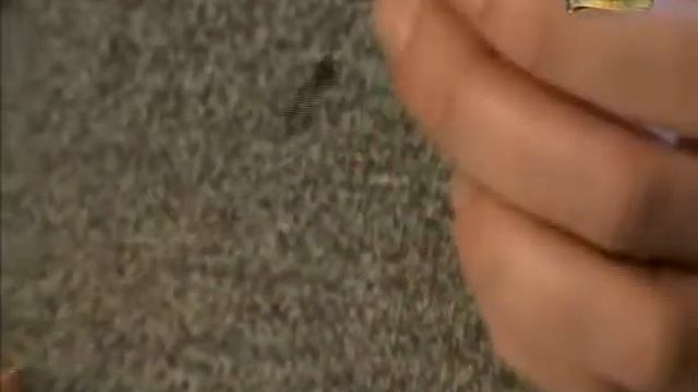 Карповая ловля Бойлы,пакеты ПВА смотреть онлайн