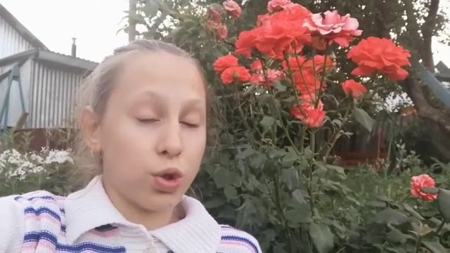 Новый имидж Макса?. Новая стрижка. Что мы купили? смотреть онлайн