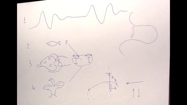 ДЛR#983. Барражирование