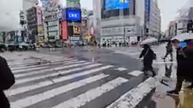 SI VAS A TOKIO, NO PIERDAS LA TICKETA #vlog смотреть онлайн