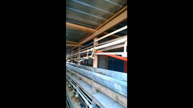 Изготавливаем клетку для кур смотреть онлайн