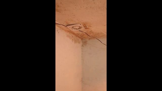 Климат в курятнике. Продолжение следует .... смотреть онлайн