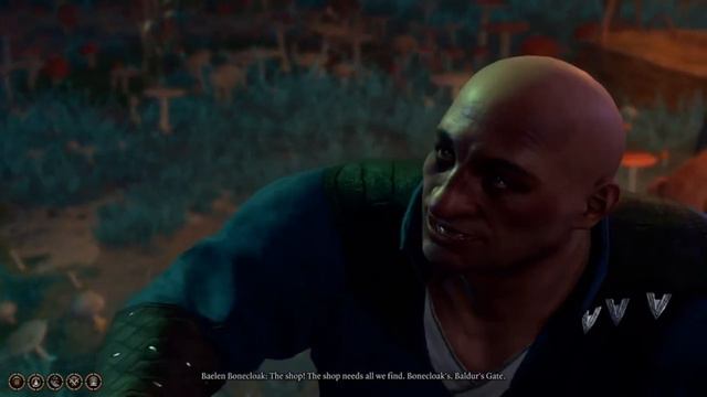 Baldur's Gate 3 (Paladin): Bibberbang! смотреть онлайн