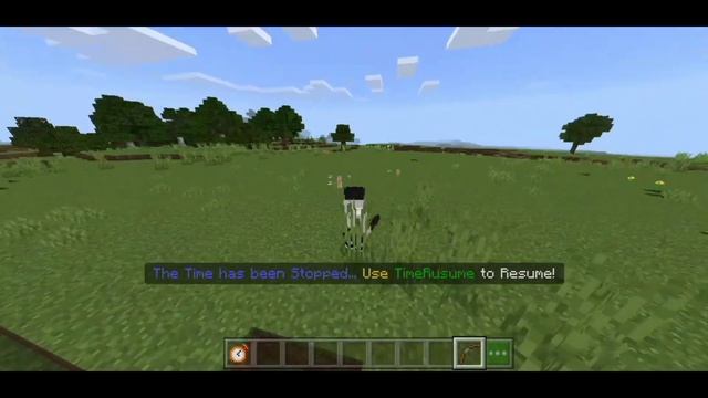 AKU BISA MEMBERHENTIKAN WAKTU DI MCPE 1.17!! | Time Stop Addon смотреть онлайн